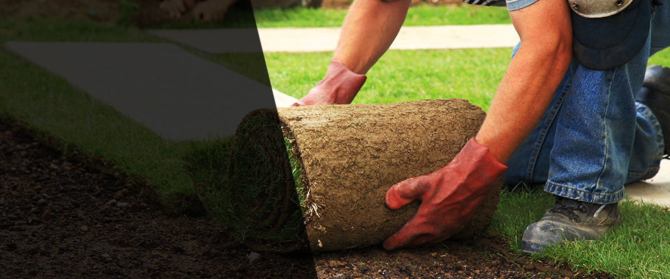 Gladewater Landscapers